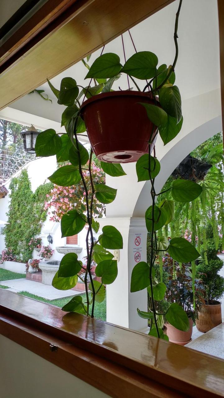 Ixkanul Antigua Hotel Luaran gambar